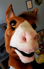 Horse Partial Suit